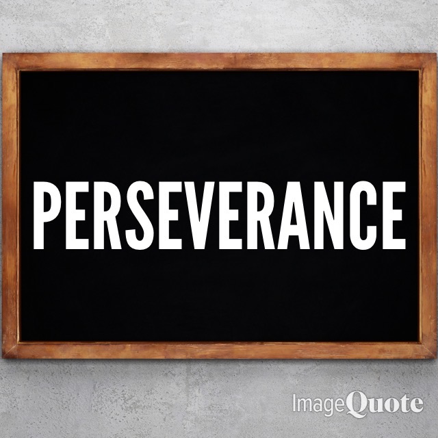 word-of-the-month-perseverance-m-l-childs-writer